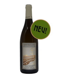 Grüner Veltliner - Ried Steiner Kögl - 2024 - Kremstal DAC Reserve
