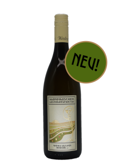 Grüner Veltliner - Ried Wachtberg - Kremstal DAC - 2025