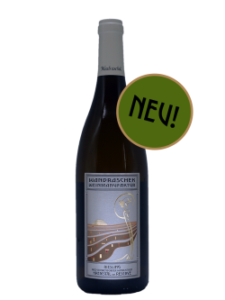 Riesling - Ried Windleithen - 2024 - Kremstal DAC Reserve